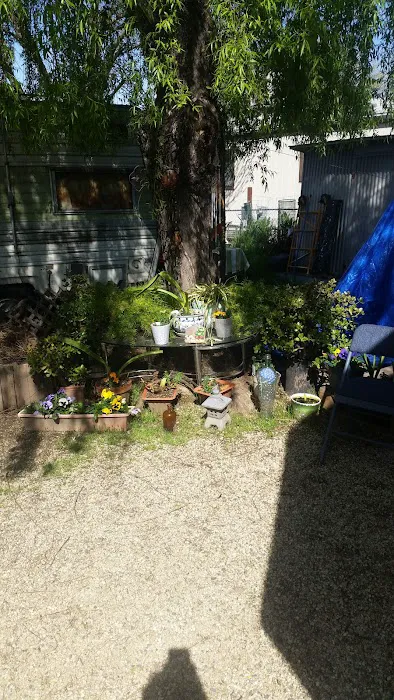 Eleven Oaks Mobile Home & RV Park Picture 9