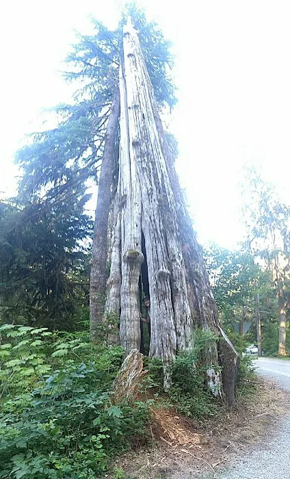 Bayview Campground Picture 1