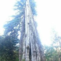 Bayview Campground ico