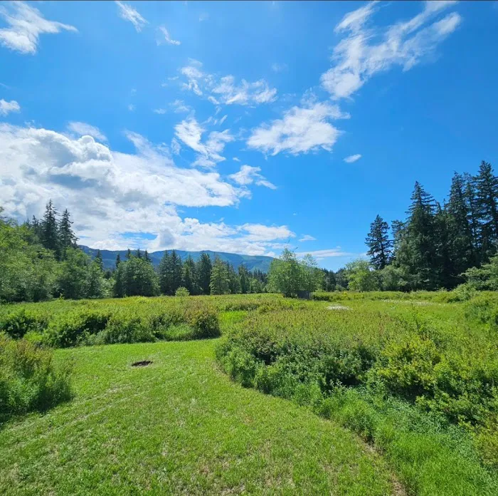 A&K Alder Farm Campsites Picture 3
