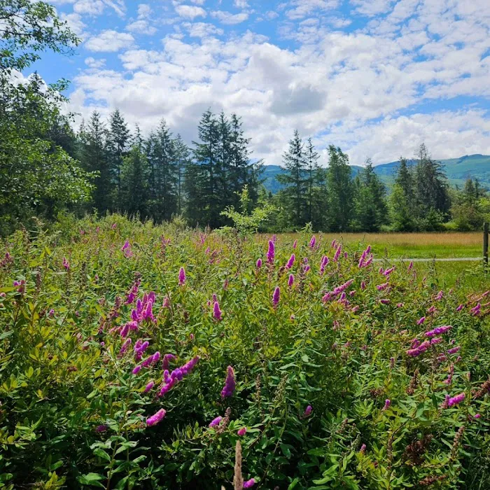 A&K Alder Farm Campsites Picture 5