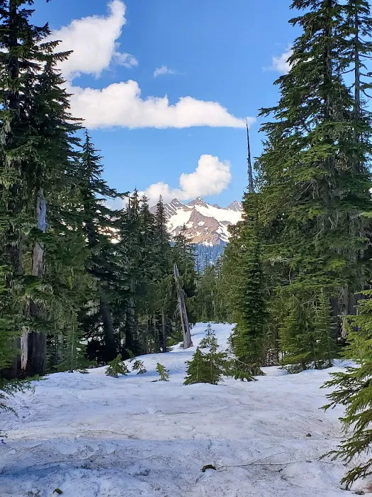 Mazama Camp Shelter Picture 4