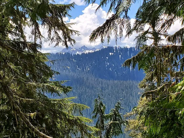 Mazama Camp Shelter Picture 5