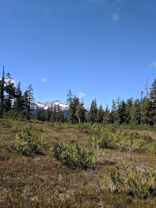 Mazama Camp Shelter Picture 10