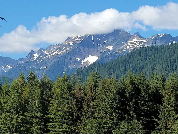 Panorama Point Campground Picture 6