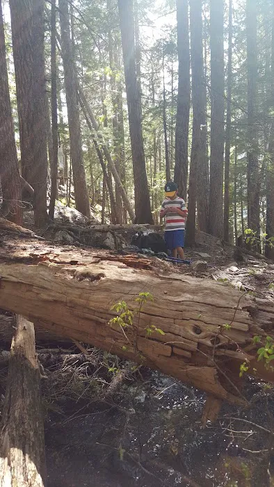 Fourth of July Campground Picture 5