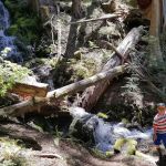 Fourth of July Campground