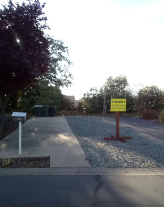 Mark J RV Park Picture 6