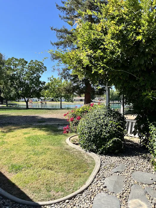 Lakeview Village Mobile Home Picture 9