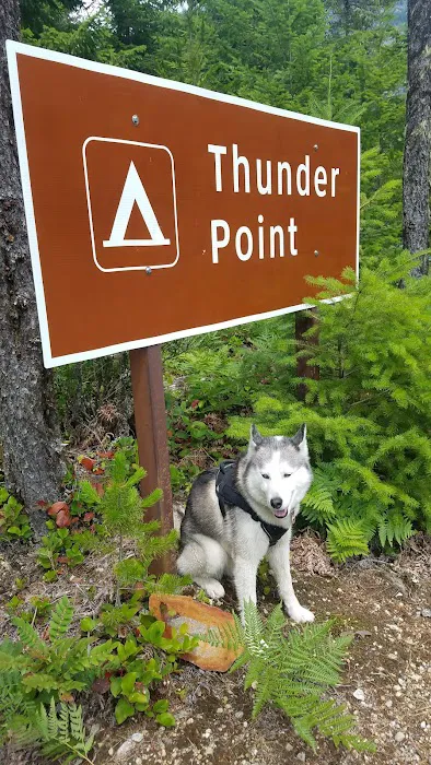Thunder Point Campground Picture 3