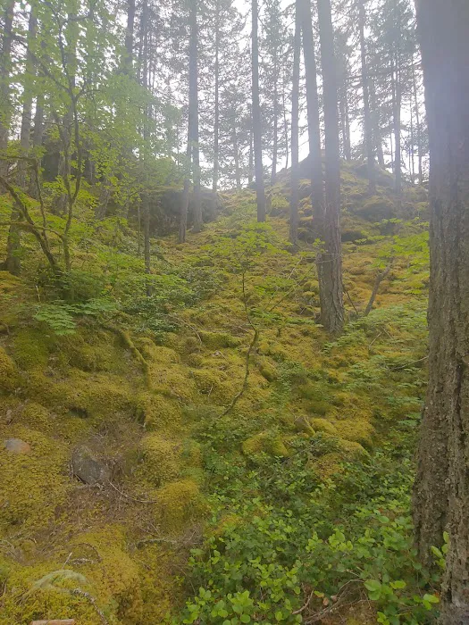 Hidden Cove Campground Picture 5