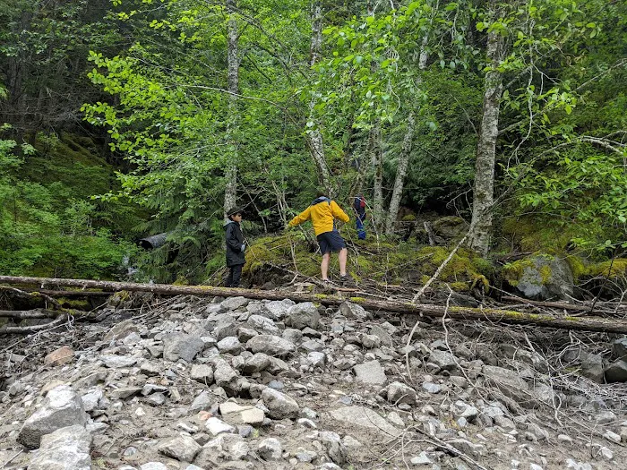 Green Point Campground Picture 6