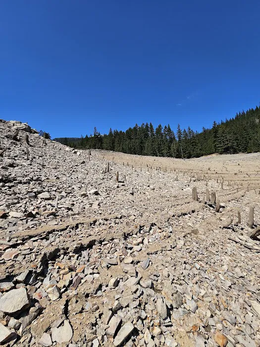 Green Point Campground Picture 8