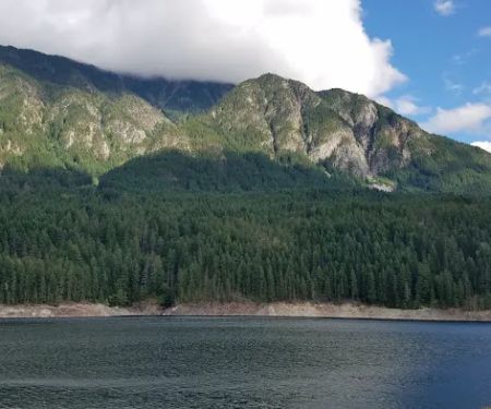Cougar Island Campground