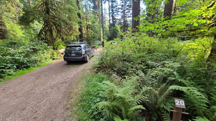 Swift Creek Campground Picture 1