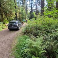 Swift Creek Campground ico