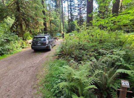 Swift Creek Campground