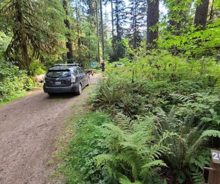 Swift Creek Campground