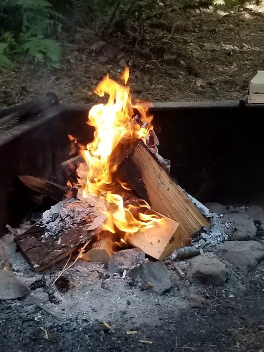 Swift Creek Campground Picture 10