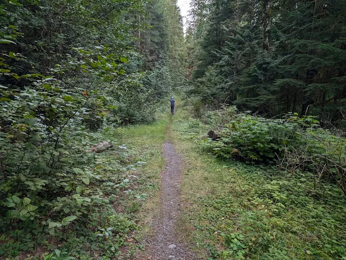 Park Creek Campground Picture 6