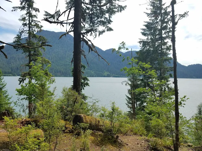Shannon Creek Campground Picture 1