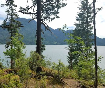 Shannon Creek Campground