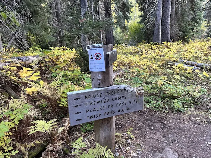 Fireweed Campground Picture 2
