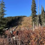 Fireweed Campground