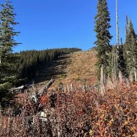 Fireweed Campground ico