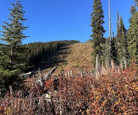 Fireweed Campground