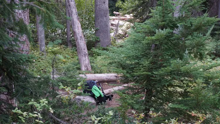 Fireweed Campground Picture 7