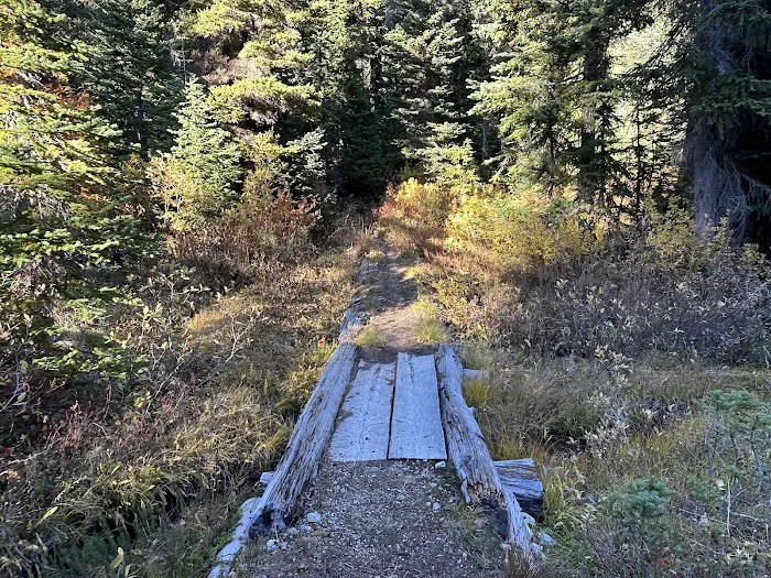 Fireweed Campground Picture 5