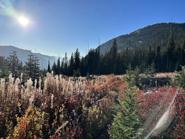 Fireweed Campground Picture 4