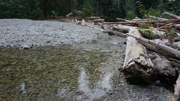 Fireweed Campground Picture 9
