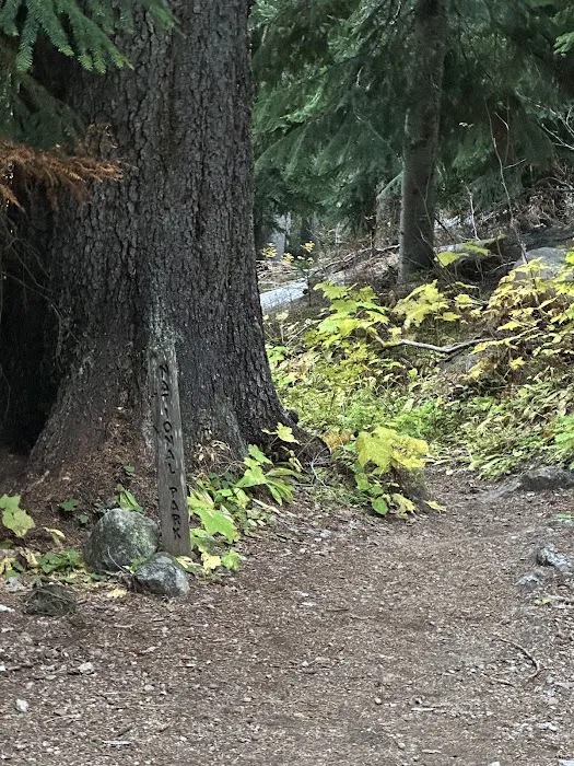 Fireweed Campground Picture 10