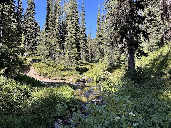 Hidden Meadows Campground Picture 3