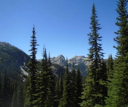 Hidden Meadows Campground