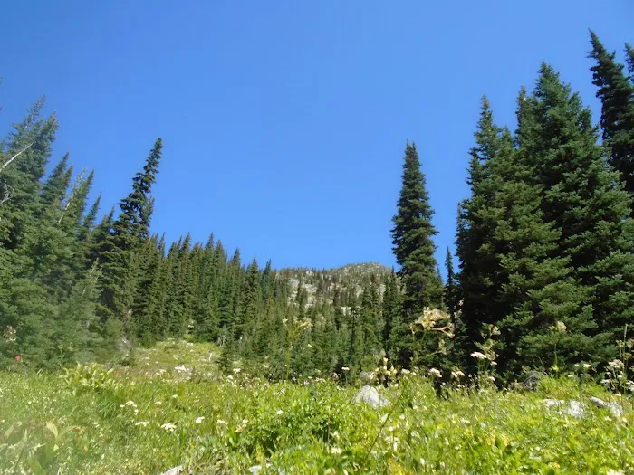 Hidden Meadows Campground Picture 10