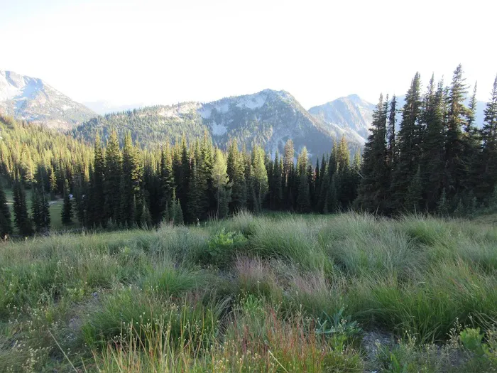 Hidden Meadows Campground Picture 8