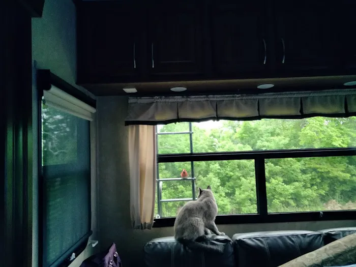 Barnyard RV Picture 8