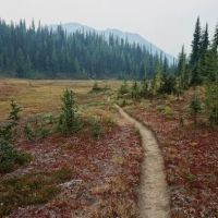 High Campground ico