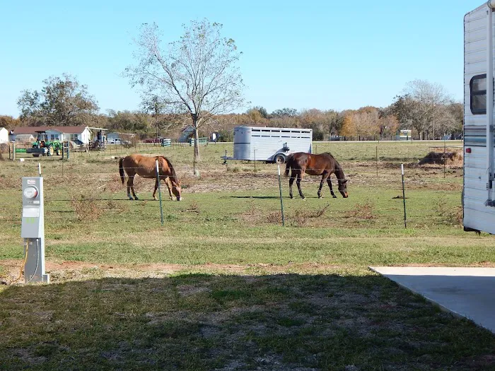 N&N RV Park Picture 3