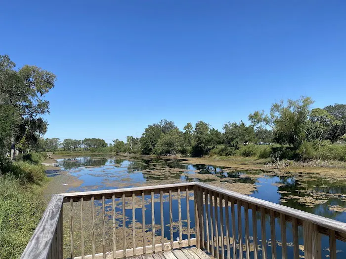 Platinum RV Park & Resort Picture 4
