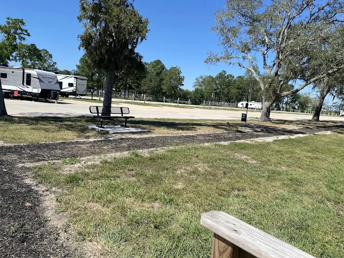 Platinum RV Park & Resort Picture 5