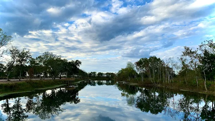 Platinum RV Park & Resort Picture 8