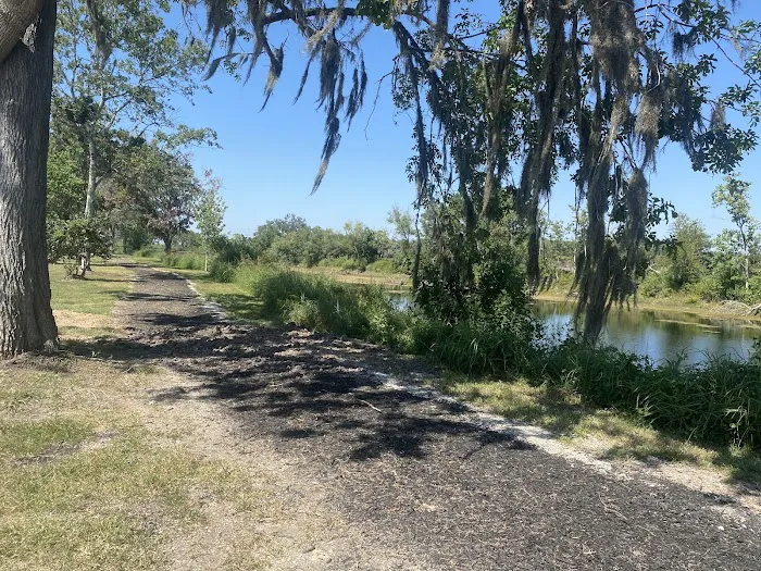 Platinum RV Park & Resort Picture 7