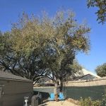 Village Green Mobile Home Park