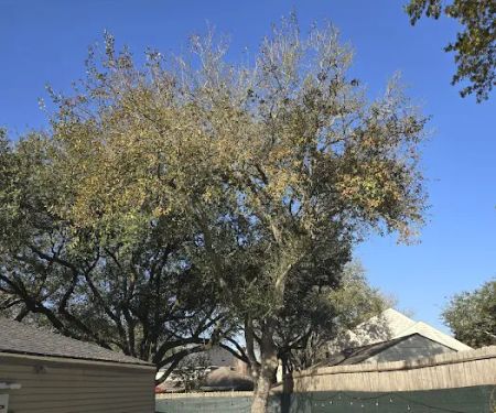 Village Green Mobile Home Park