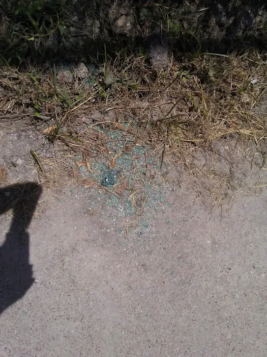 Anderson Oaks Park Picture 2
