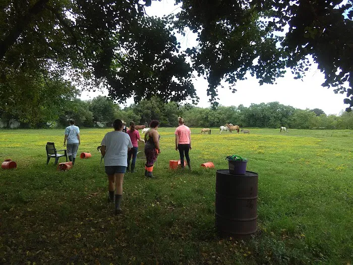 Meadows Picture 1